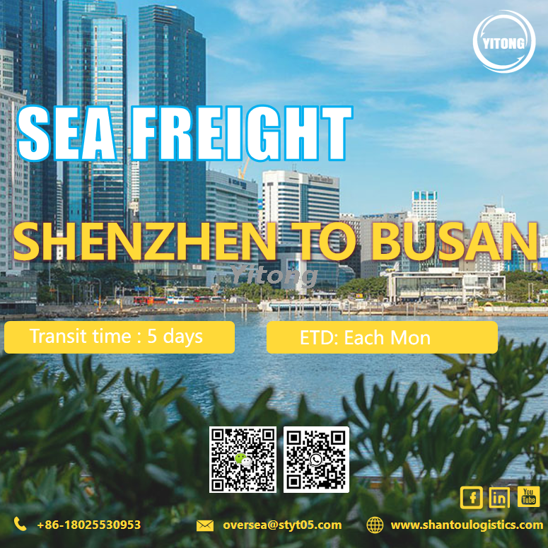 International Sea Freight from Shenzhen to Busan South Korea