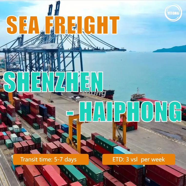 Sea Freight From Shenzhen To Haiphong Vietnam Reliable Chin Vietnam Ocean Shipping