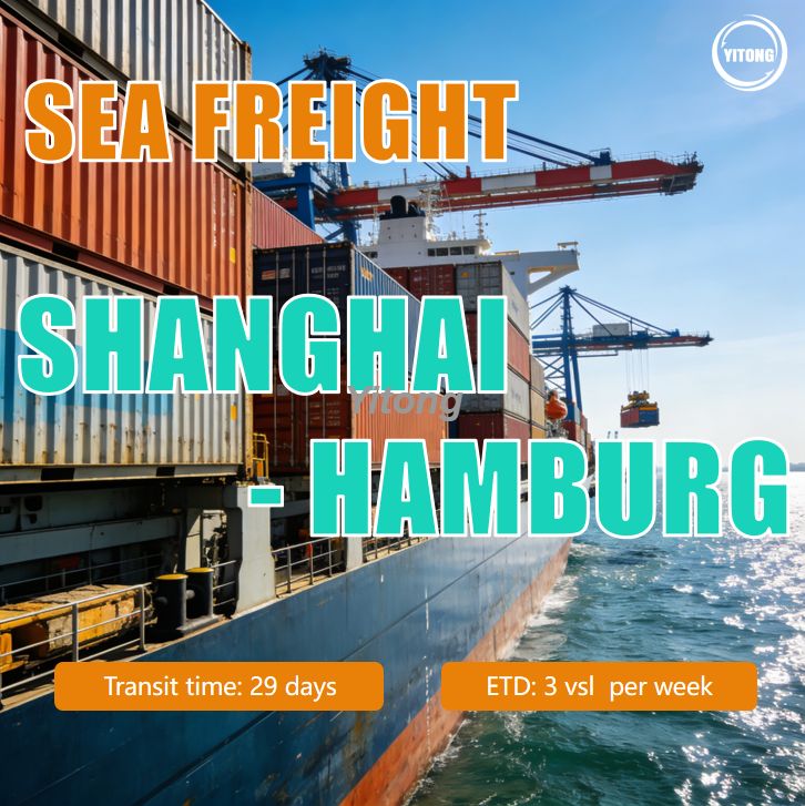 Sea Freight From Shanghai China To Port of Hamburg Germany Europe Focused Ocean Logistics