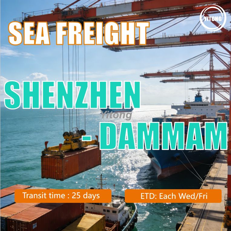 Direct Sea Freight From Shenzhen China To Dammam Port Saudi Arabia Cost Effective Ocean Logistics