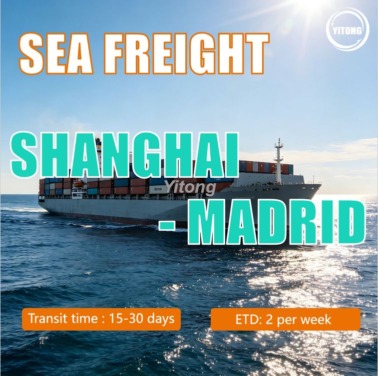 Sea Freight for Container From Shanghai To Madrid Spain