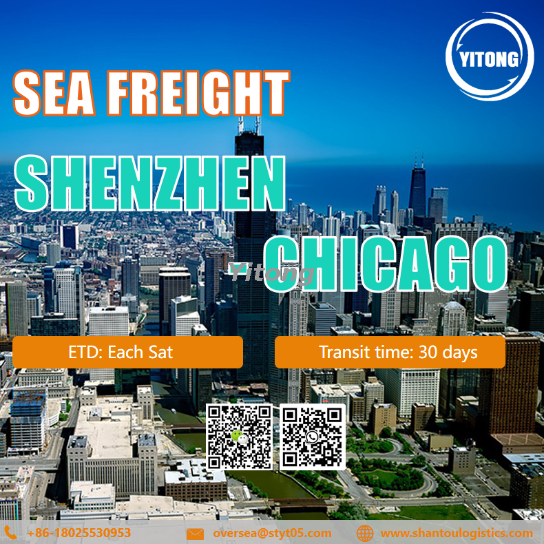 International Sea Freight from Shenzhen to Chicago United States