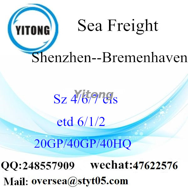 Shenzhen Port Sea Freight Shipping To Bremenhaven Germany