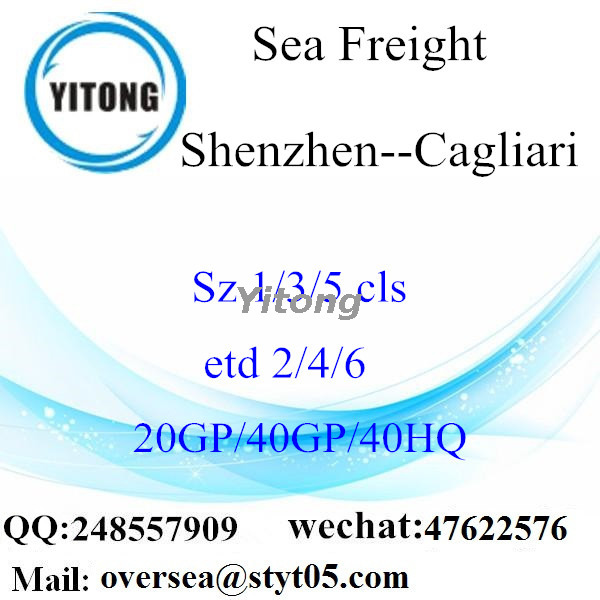 Shenzhen Port Sea Freight Shipping To Cagliari Italy