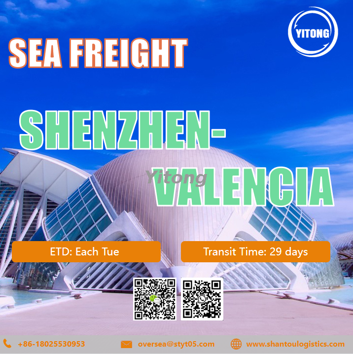 International Sea Freight from Shenzhen to Valencia Spain