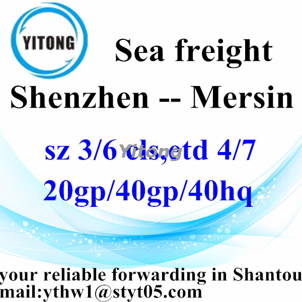 Shenzhen Container Shipping Service to Mersin Turkey
