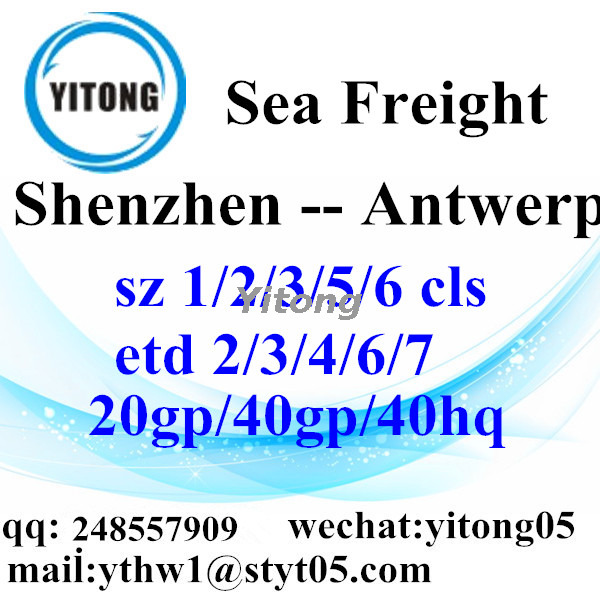 Shenzhen Sea Freight Shipping Agent to Antwerp Belgium