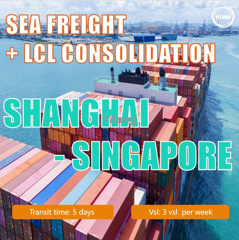 LCL Consolidation Sea Freight From Shanghai China To Singapore