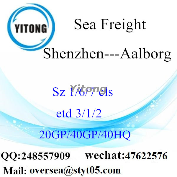 Shenzhen Port Sea Freight Shipping To Aalborg Denmark
