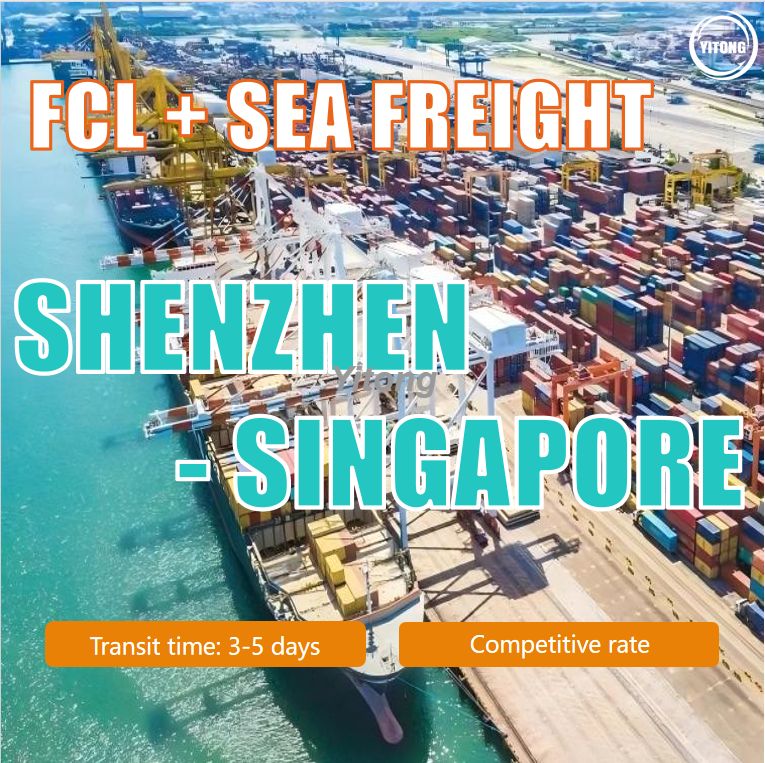 FCL Sea Shipping From Shenzhen China To Singapore Port