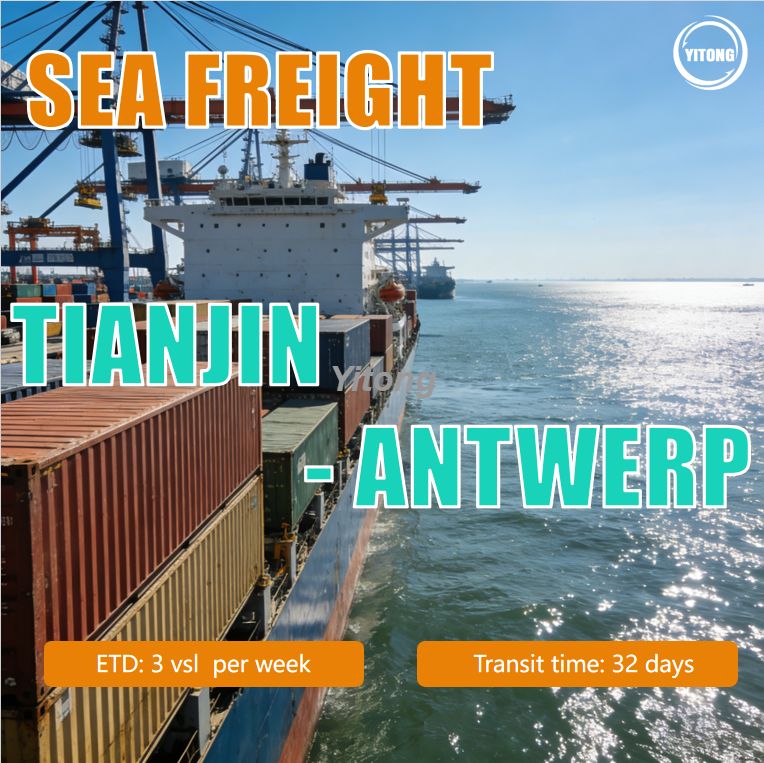 Sea Freight From Tianjin China To Antwerp Belgium Efficient Ocean Cargo Solutions