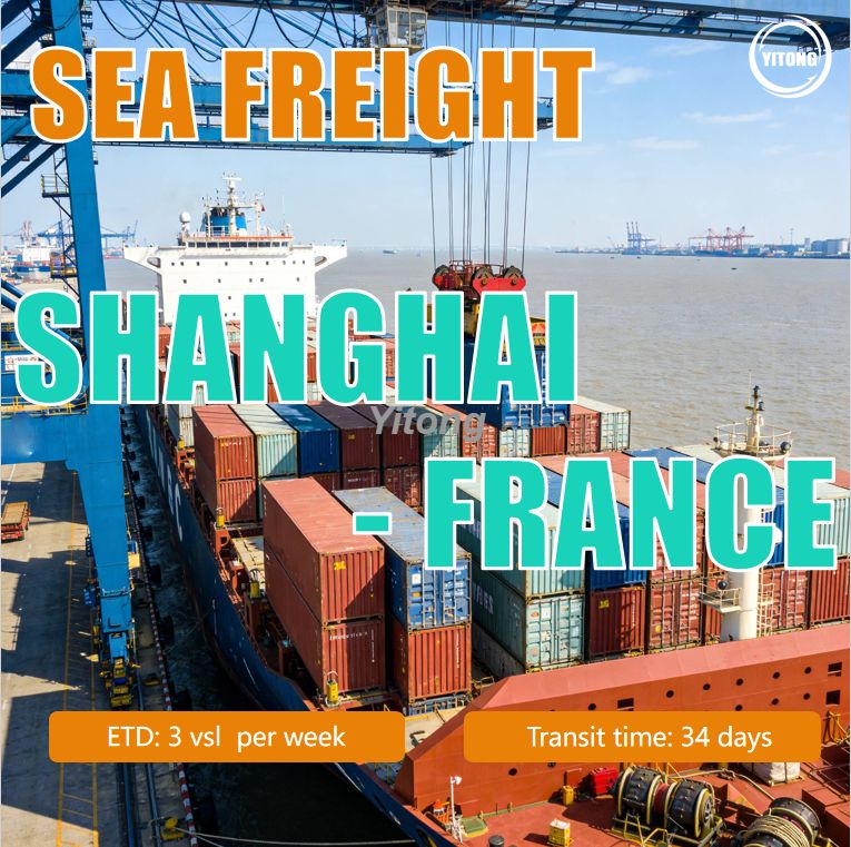 Sea Freight from Shanghai China to France Professional Ocean Shipping Service