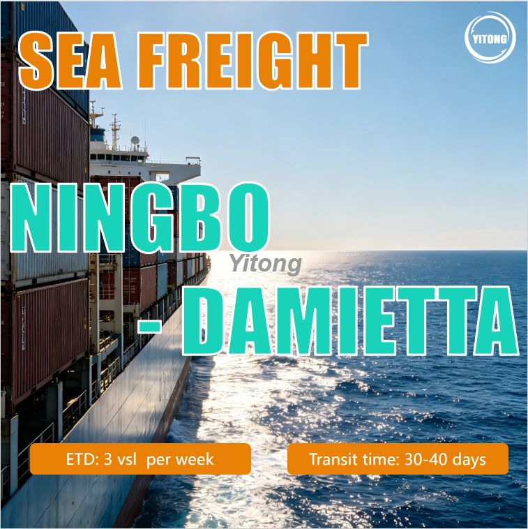 Sea Cargo Logistics Sea Shipping From Ningbo Shanghai China To Damietta Egypt