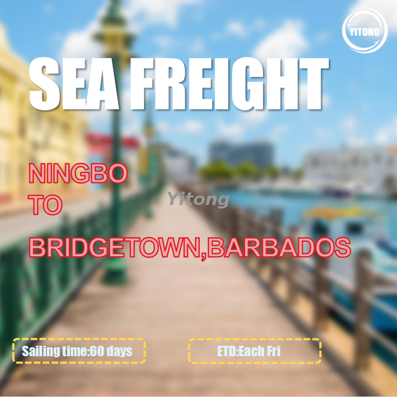 Ocean Freight Service From Qingdao To Bridgetown Barbados