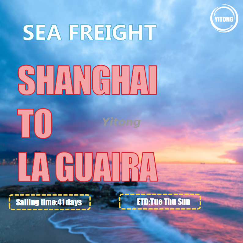 Ocean Freight From Shanghai To La Guaira Venezuela