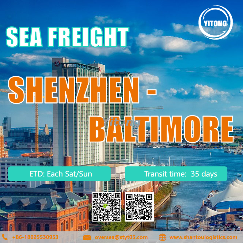 International Sea Freight Service from Shenzhen to Baltimore United States