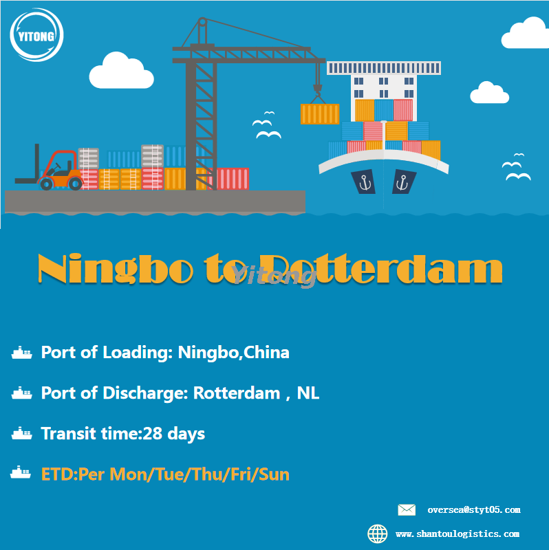 FCL Sea Freight From Ningbo To Rotterdam Holland