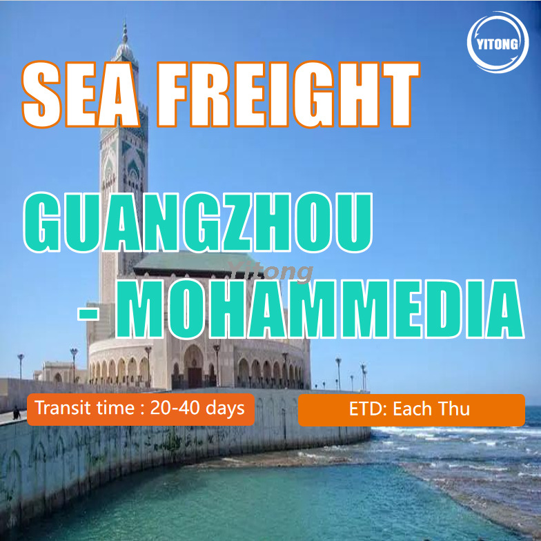 Sea Transport From Guangzhou To Mohammedia Morocco