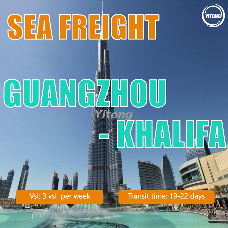 Sea Freight From Guangzhou To Khalifa Port UAE