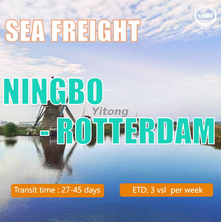 Sea Shipping From Ningbo To Rotterdam Holland