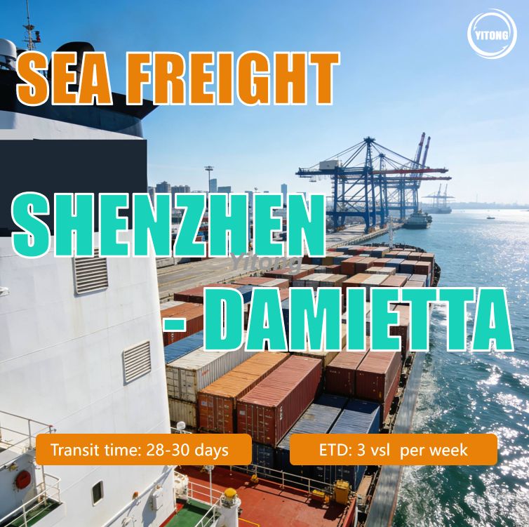 Shenzhen International Freight Forwarder Shipping to Damietta Egypt