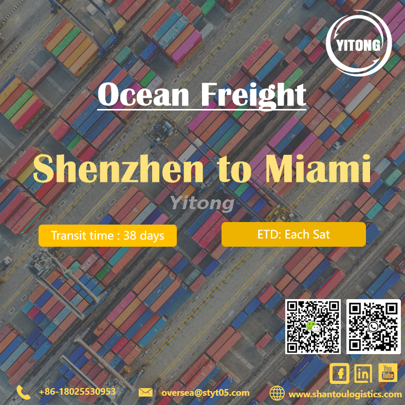 Container Sea Freight from Shenzhen to Miami United States