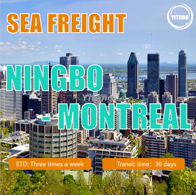 Sea freight services from ningbo to Montreal Canada
