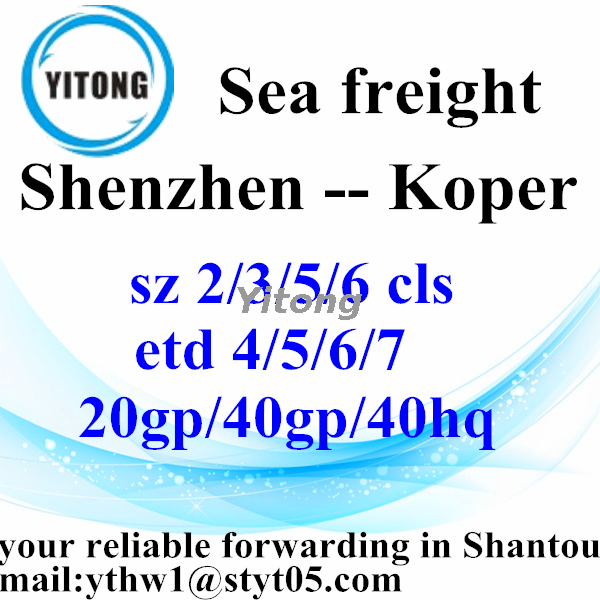 Shenzhen International Freight Forwarder Shipping to Koper Slovenia