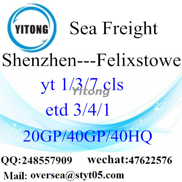 Shenzhen Port Sea Freight Shipping To Felixstowe UK