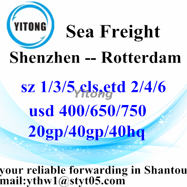 Shenzhen Gobal Ocean Freight Shipping to Rotterdam Holland
