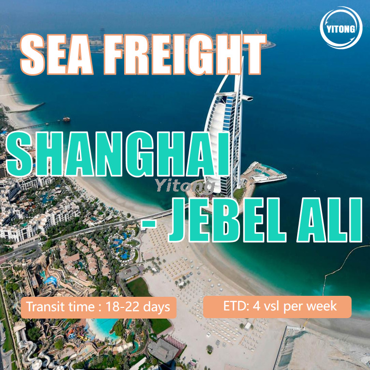 Sea Cargo From Shanghai To Jebel Ali UAE