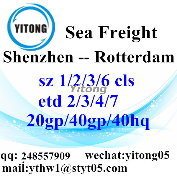 Shenzhen Logistics Services to Rotterdam Holland