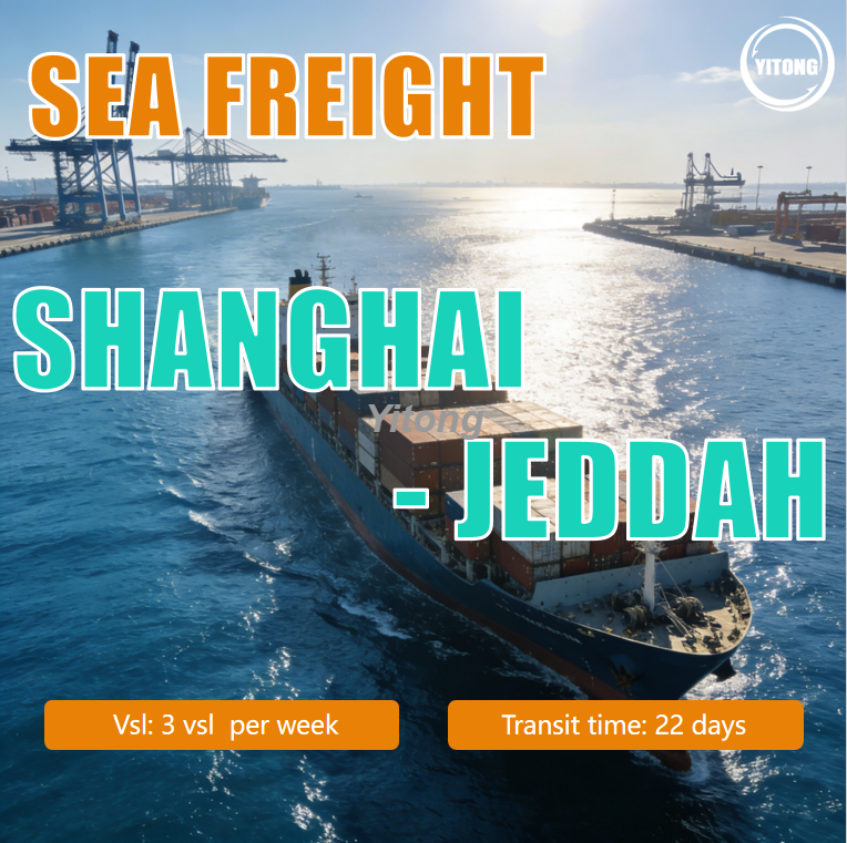 Sea Freight From Shanghai China To Jeddah Port Saudi Arabia Professional FCL LCL Shipping