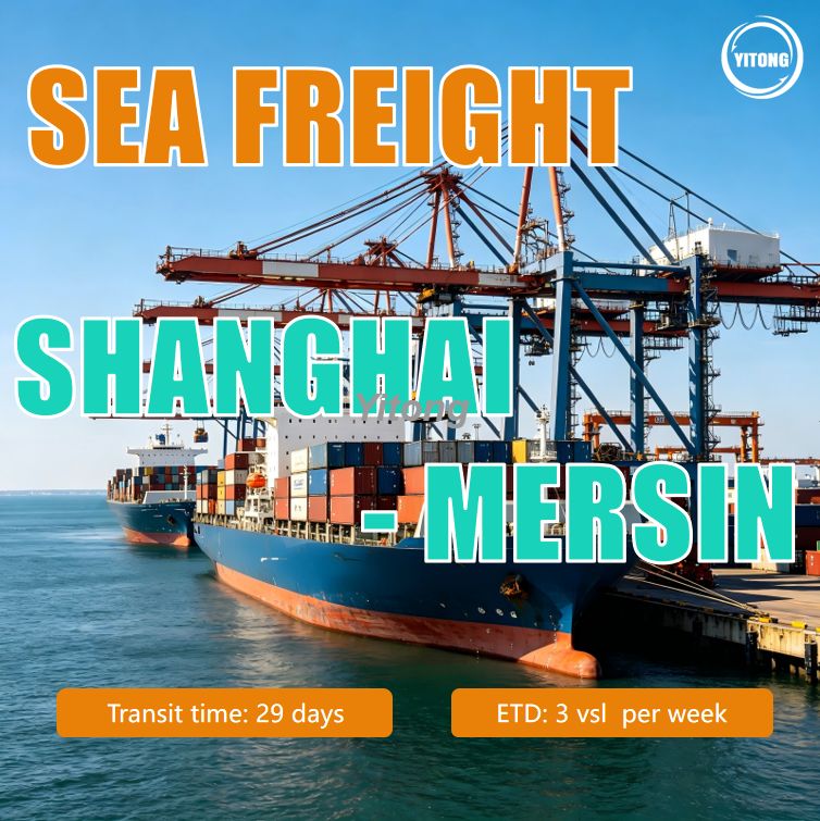 Sea Shipping Ocean Freight Container Service From Shanghai China To Mersin Turkey