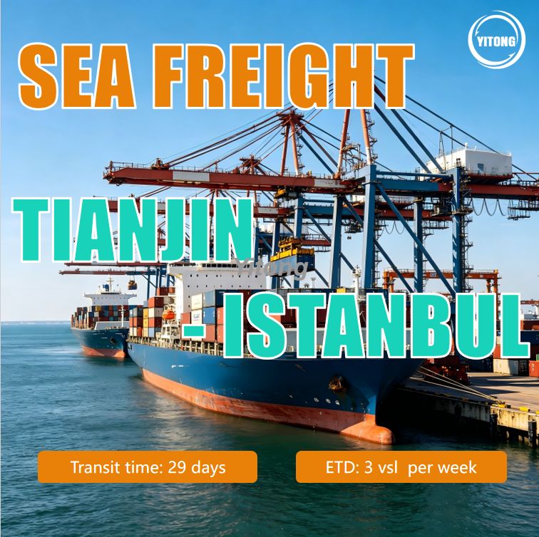 Ocean Freight Shipping From Tianjin China To Istanbul Turkey