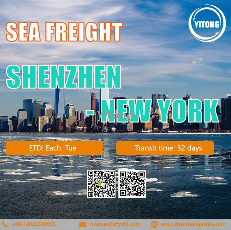 International Sea Freight from Shenzhen to New York United States