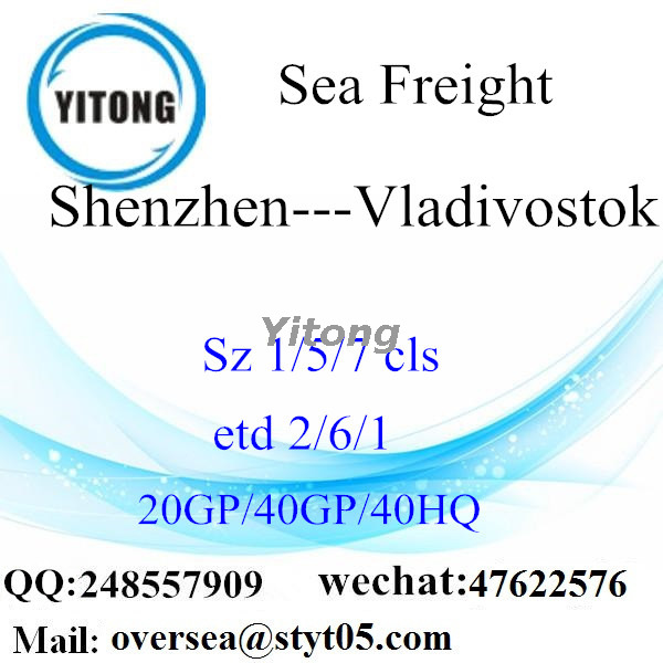 Shenzhen Port Sea Freight Shipping To Vladivostok Russia