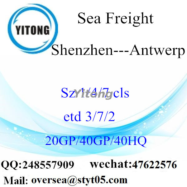 Shenzhen Port Sea Freight Shipping To Antwerp Belgium