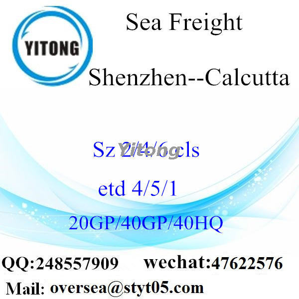 Shenzhen Port Sea Freight Shipping To Calcutta India