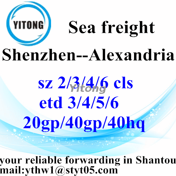 Shenzhen Sea Freight Shipping Company to Alexandria Egypt