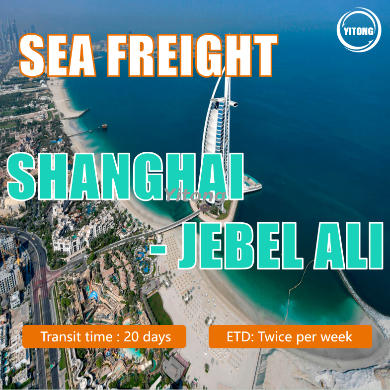Marine Shipment From Shanghai To Jebel Ali Dubai UAE