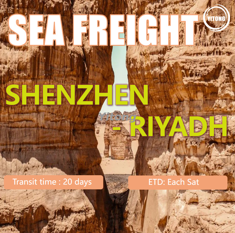 Sea Freight Logistics From Shenzhen To Riyadh Saudi Arabia