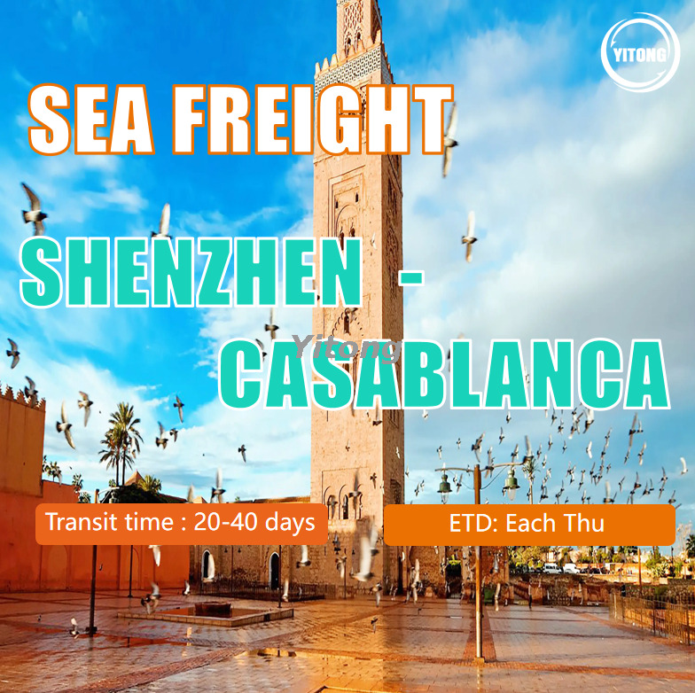 Ocean Freight From Shenzhen to Casablanca Morocco