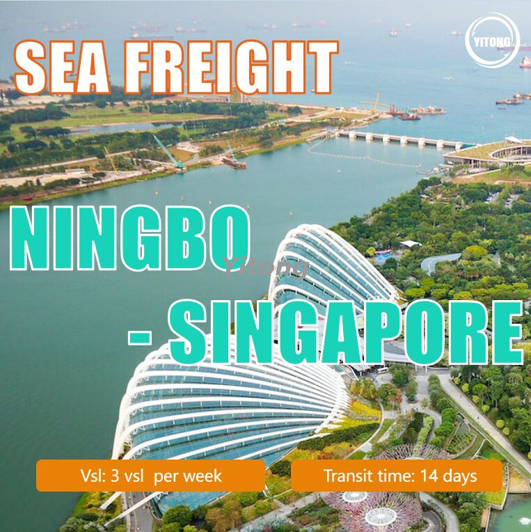 Sea Freight from Ningbo to Singapore China to Singapore Ocean Freight Service