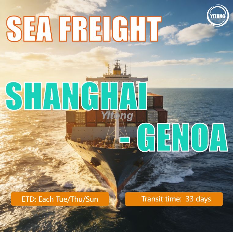 Sea Freight From Shanghai China To Genoa Italy Efficient Ocean Shipping To Southern Europe