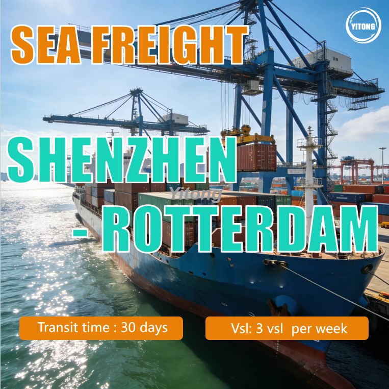 Sea Freight from Shenzhen China to Rotterdam Holland Reliable Ocean Shipping Solutions
