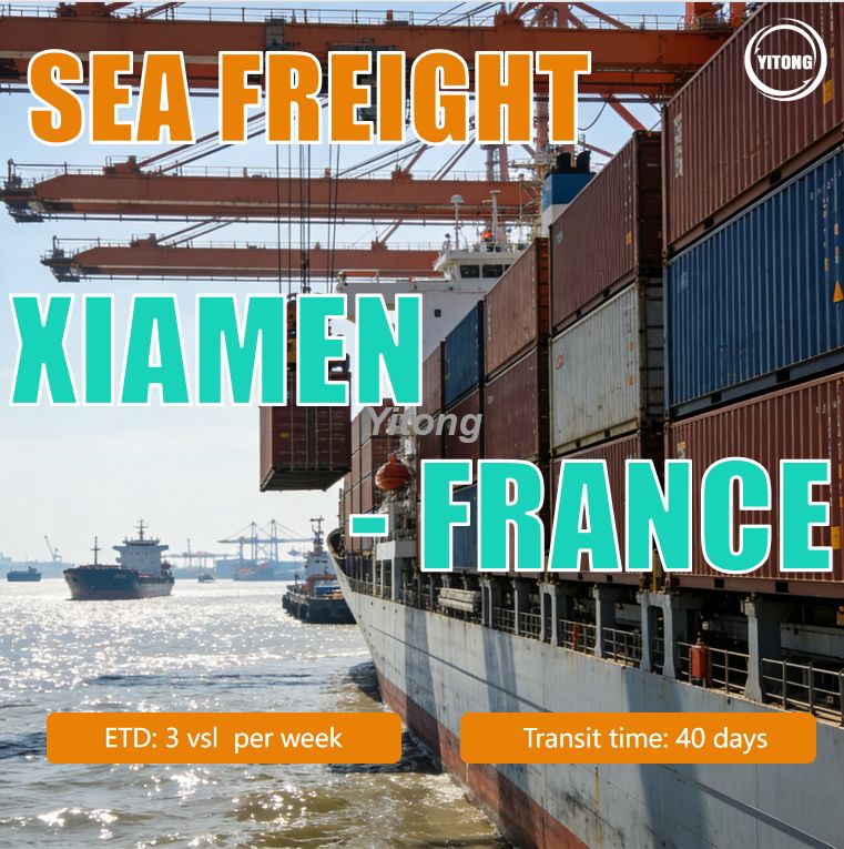 Sea Freight From Xiamen China To France Reliable Ocean Cargo Shipping