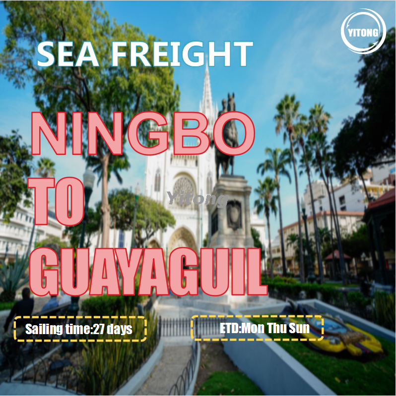 Ocean Freight Service From Shenzhen To Guayaguil Ecuador