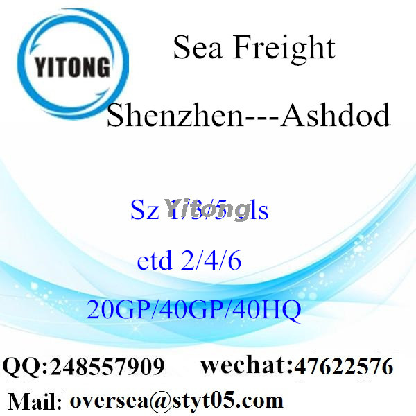 Shenzhen Port Sea Freight Shipping To Ashdod Israel