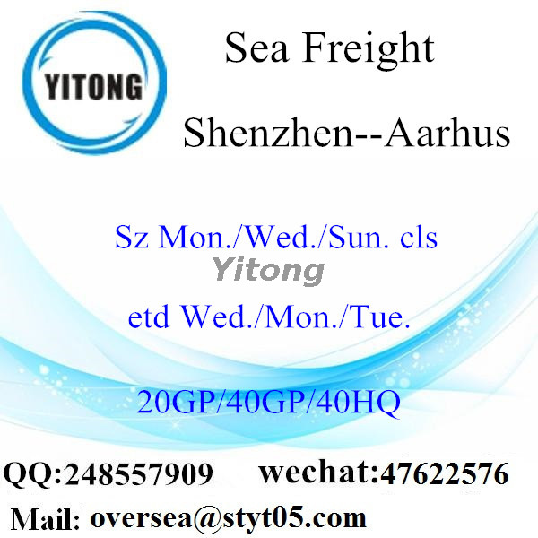 Shenzhen Port Sea Freight Shipping To Aarhus Denmark